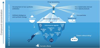 The New Antibacterial Properties of the Plants: Quo vadis Studies of Anti-virulence Phytochemicals?